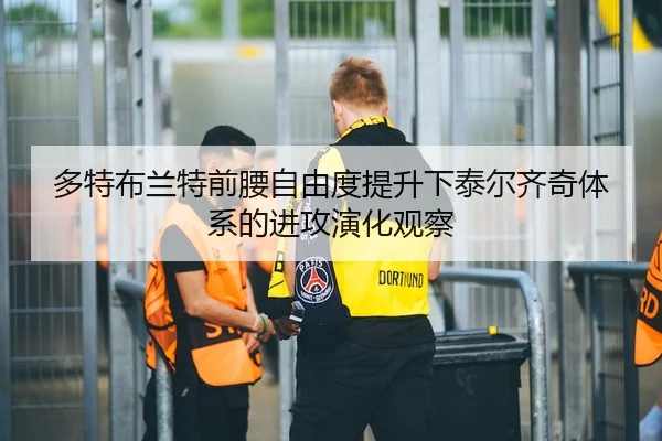 多特布兰特前腰自由度提升下泰尔齐奇体系的进攻演化观察