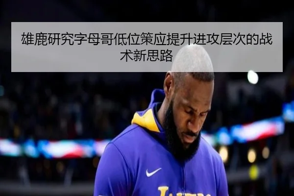 雄鹿研究字母哥低位策应提升进攻层次的战术新思路